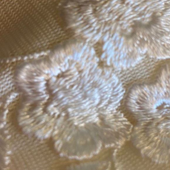 Flora Nirooz Embroidered Satin Nightgown Long Light Cream Size Large - Picture 11 of 13